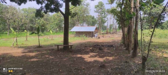 Land for Sale in  Sigiriya