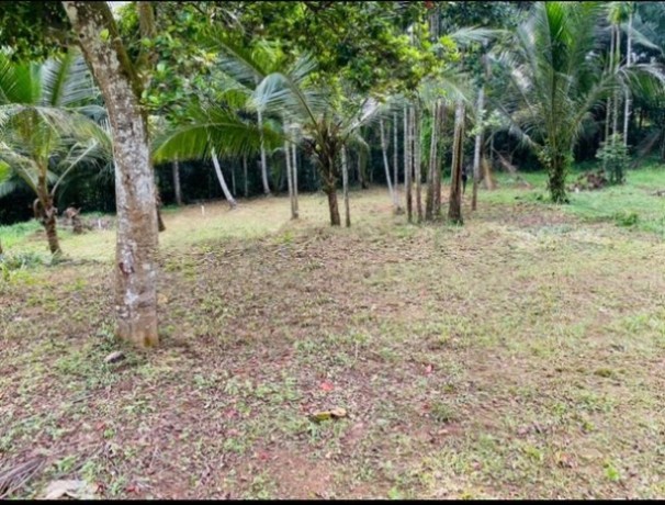 Land for Sale in   Kadawatha