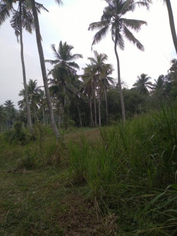 Land for Sale in Miriswaththa