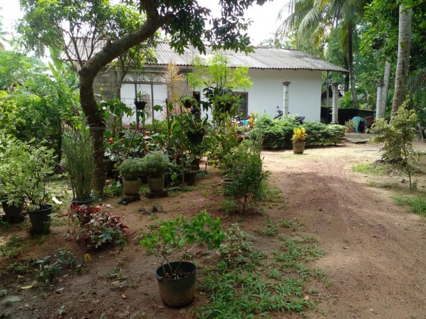 House with Land for Sale Handiya