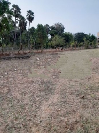 140 Perches Bare Land for Sale Jaffna