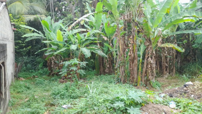 Land For Sale in kandana