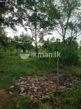 Land for Sale in namalgama