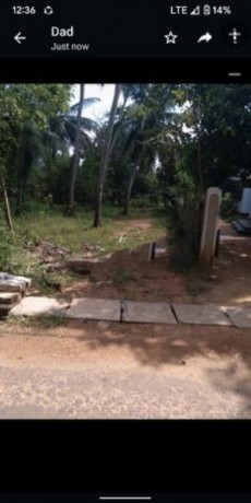 Land for Sale Anuradhapura