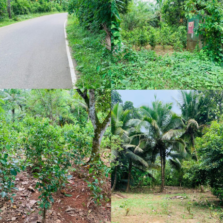 Land For Sale In Kaluthara