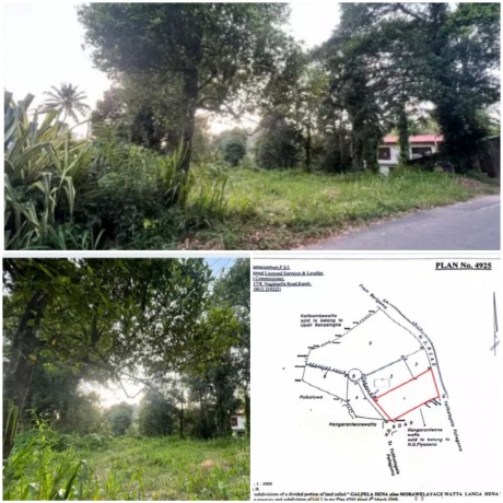 Land For Sale in Kandy