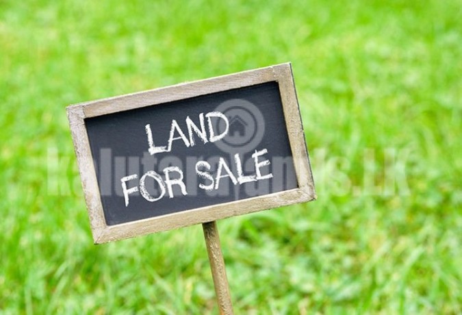 Land for sale delgoda