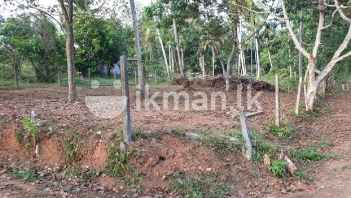 Land For Sale In Udugampola, Nedagamuwa