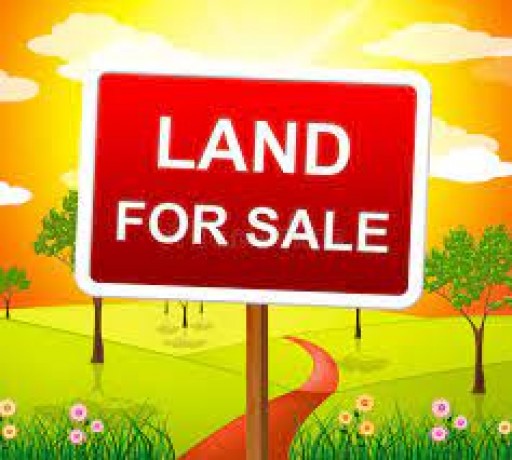 Land For Sale In Gonapola
