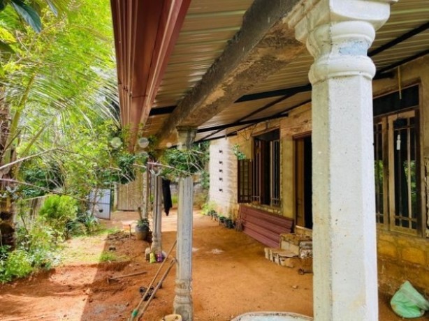 House for sale Nawalapitiya