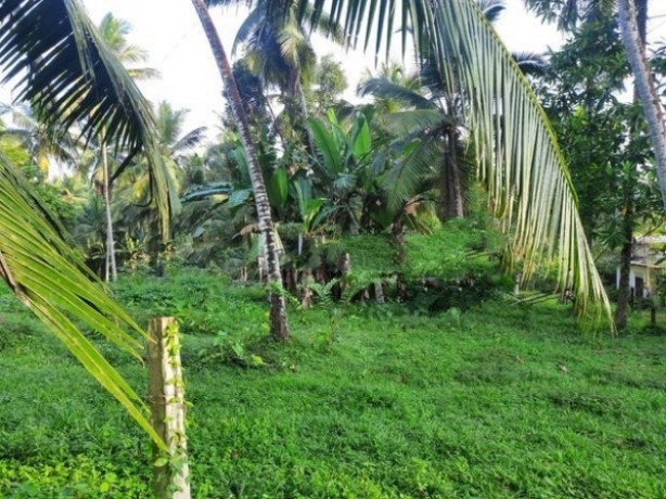 Land for Sale in  Henegama