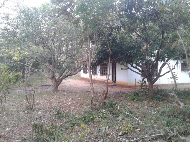 House and land for sale dambulla