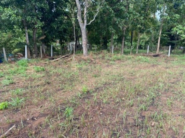 Land for sale in Embilipitiya