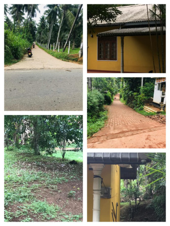 House For Sale in DOMPE