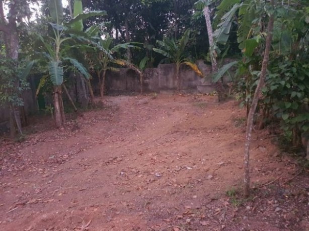 Land for Sale in  Ragama