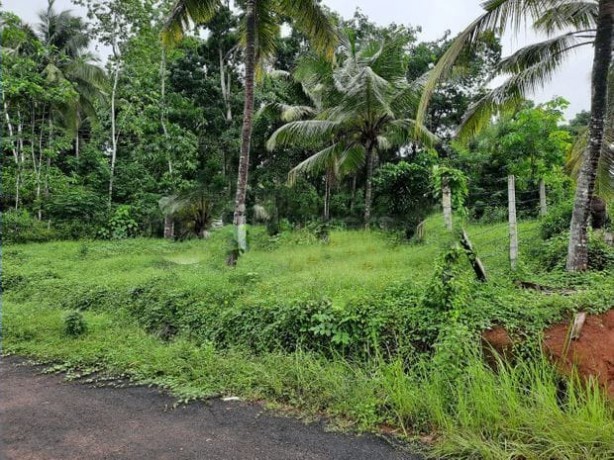 Land for Sale in Gampaha (Udugampola-Batapotha)