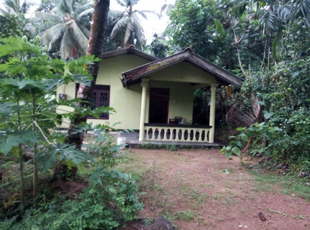 House with Land for Sale Pugoda