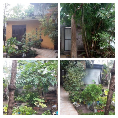Land with house for sale or lease  in  Talawathugoda