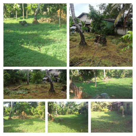 10 Perch Land For Sale In Horahena Road, Rukmale West