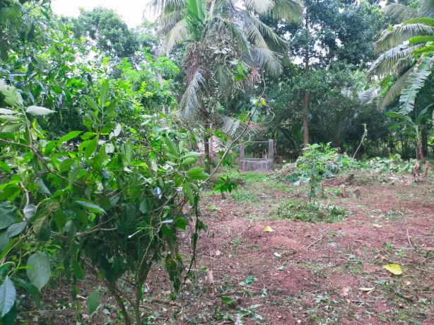 Land for Sale in Maholawa