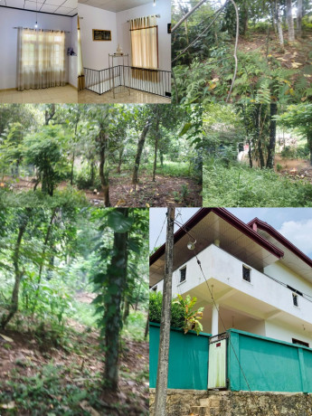 Land with House for Sale -  ratnapura