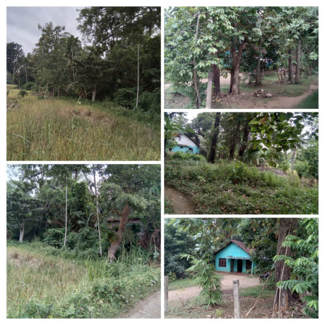 LAND FOR SALE IN ALAWWA