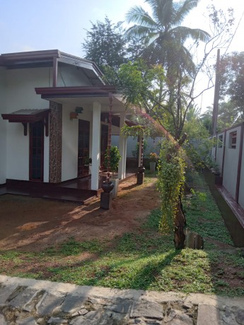 New Single Storied House for Sale in Walpita Rd Horana