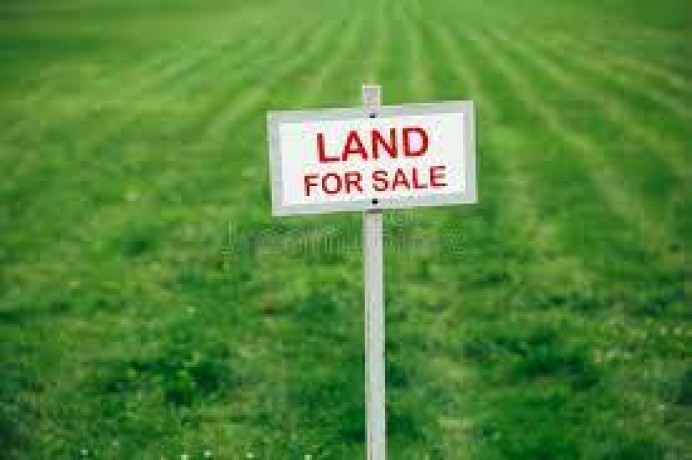 100 Perches Land For Sale In Embilipitiya