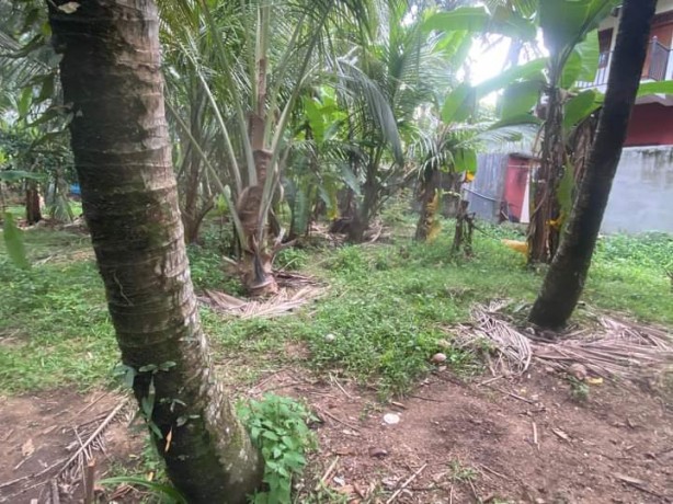 Land For Sala in Kadawata