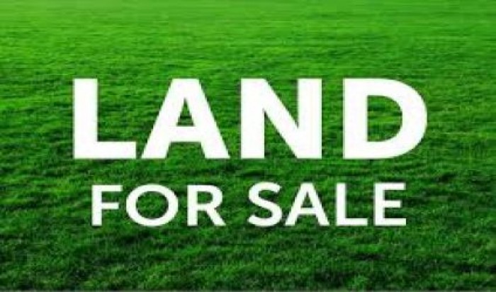 Land For Sale in Wellampitiya