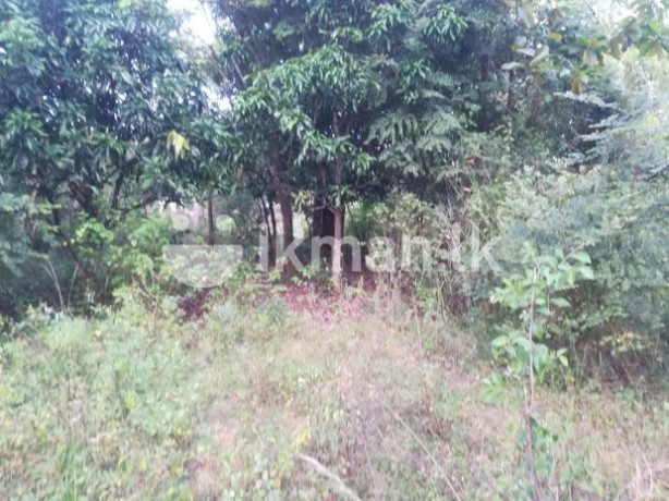 Land for Sale in Mihintale