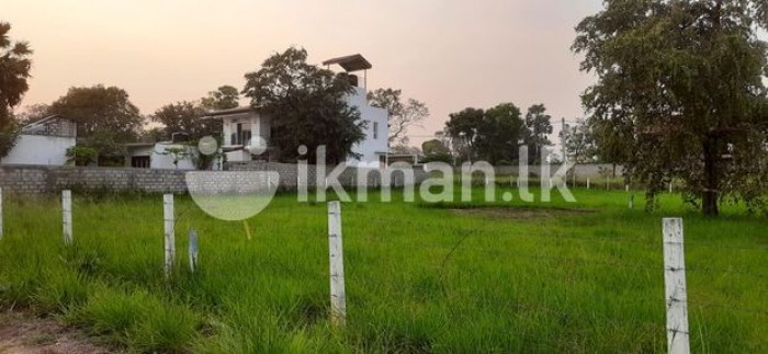 Land for Sale Isurumuniya