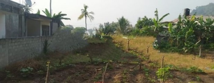 Land for Sale at Kurunegala