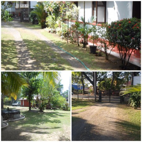 Land with House for Sale in Mallawapitiya Kurunegala