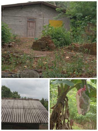 HOUSE FOR SALE IN WATTEGAMA