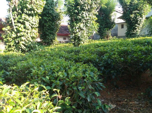 Land for Sale in  pilimatahalwa