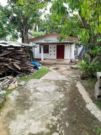 House with Land for Sale - Ratmalana