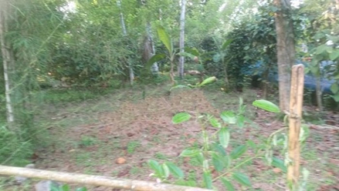 Land for Sale - Diyagama, Kottawa (දියගම කොට්ටාව ඉඩමක් විකිනීමට)