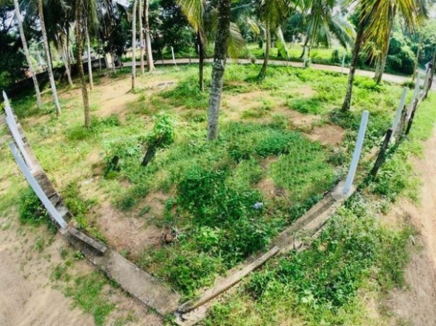 Residential Land for Sale in Delgoda
