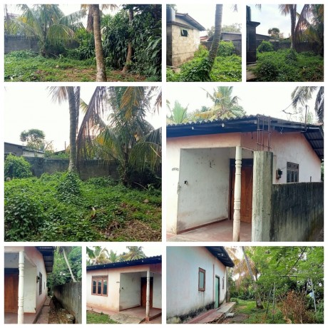 Land With House For Sale in Pannipitiya