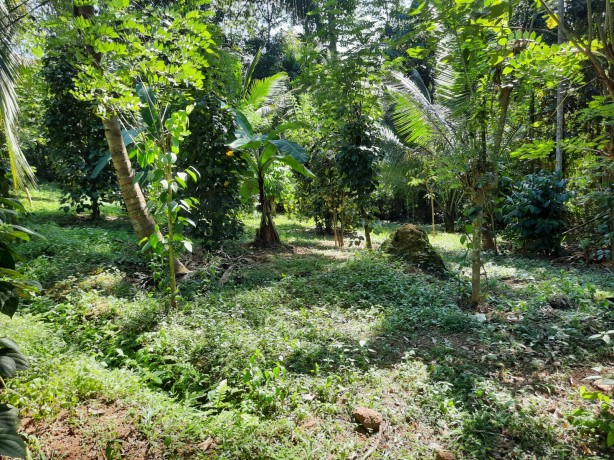 Land For Sale In Nugapitiya