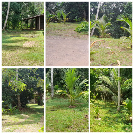 HOUSE FOR SALE PADUKKA