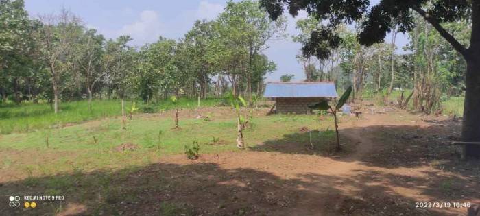 Land for Sale in  Sigiriya