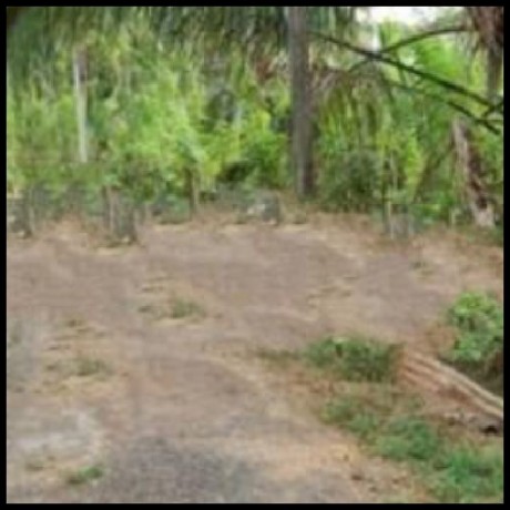 Land fLand for sale in Kurunegalala