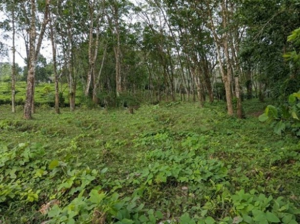 Land For Sale In Kalutara Near Dodangoda Highway Interchange