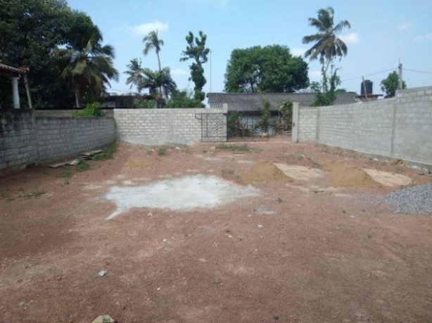 Land For Sale  In  Kandana