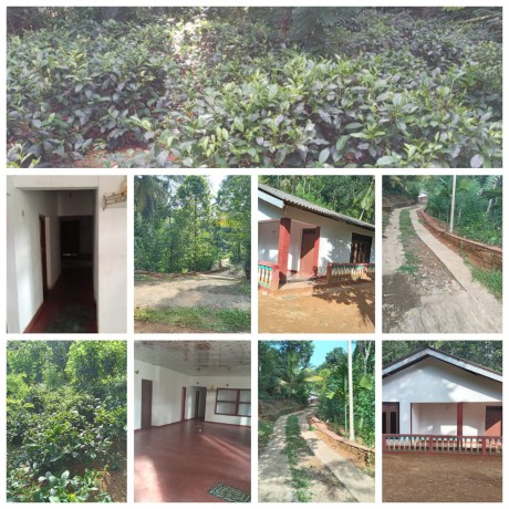 Land For Sale In Kegalle