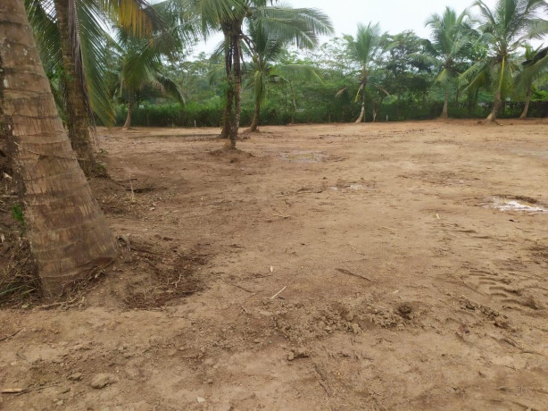 Land For Sale In Galle