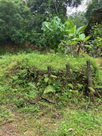 Land for Sale in  Galle