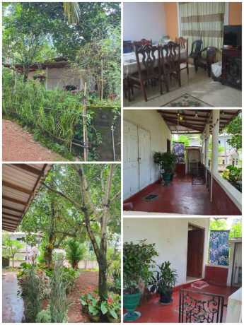 House For Sale in Panadura horana
